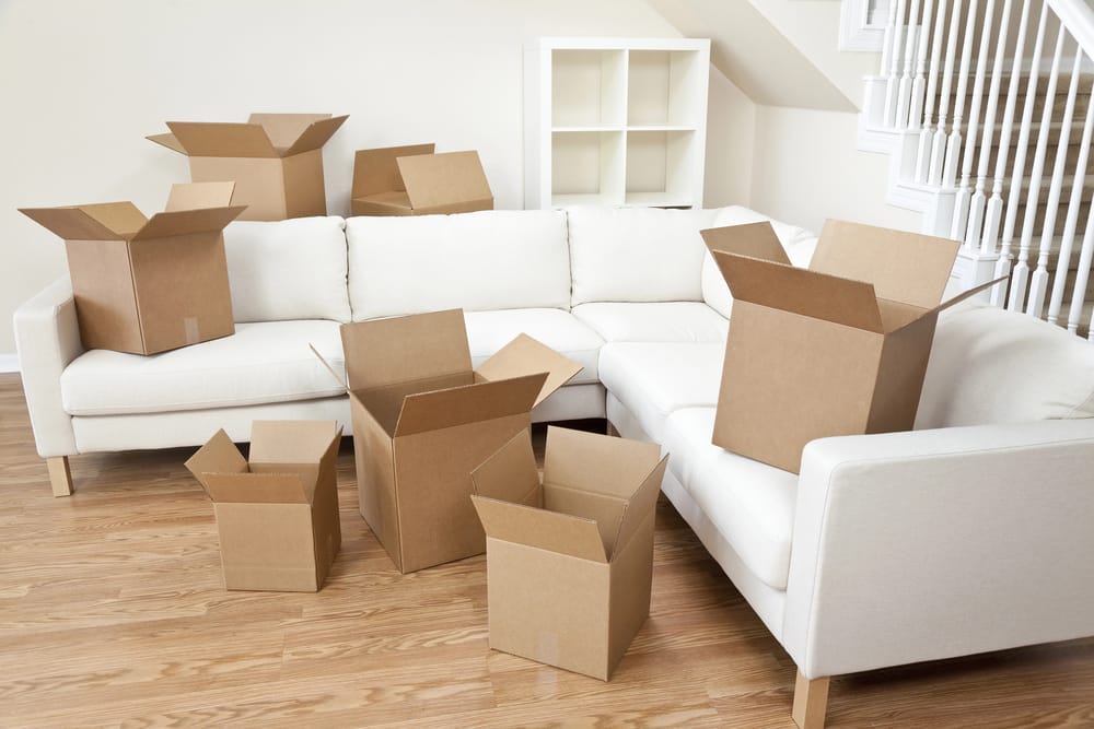 move in cleaning